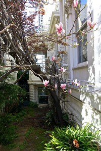 2250 Vallejo St in San Francisco, CA - Foto de edificio - Building Photo