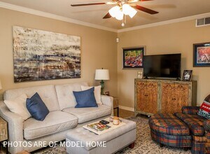 908 Park Lane in Oxford, MS - Building Photo - Building Photo