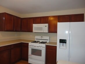 26300 W Riverbend Ln in Channahon, IL - Building Photo - Building Photo
