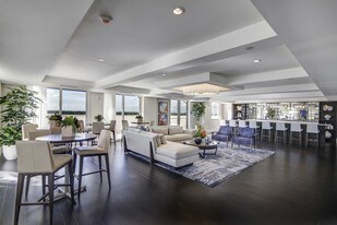 Sofia Coral Gables Apartments