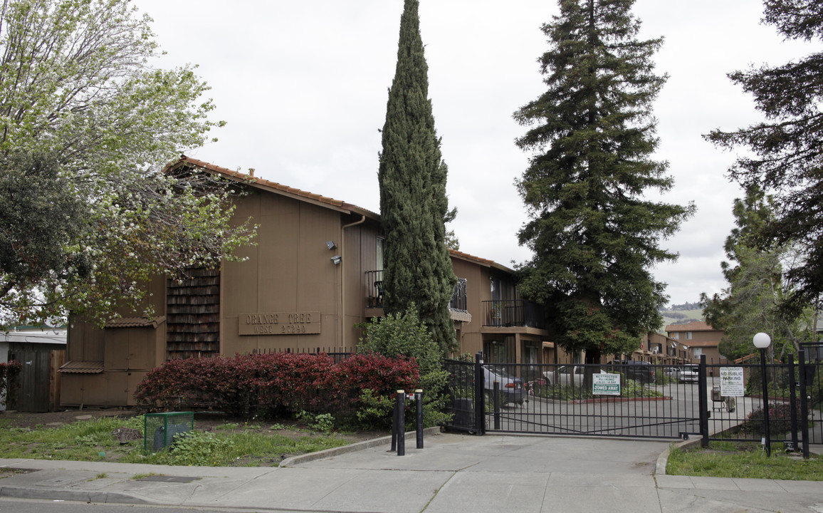 Orange Tree Apartments in Hayward, CA - Building Photo