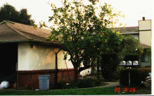 36-40 Bonita Ave in Redwood City, CA - Foto de edificio - Building Photo