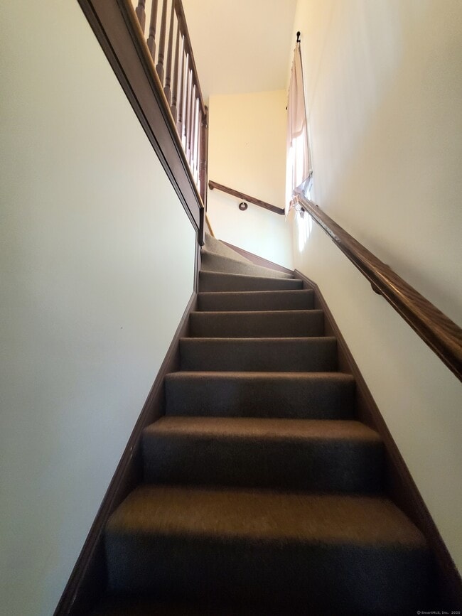 157 Starr St in New Haven, CT - Building Photo - Building Photo