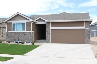 533 El Diente Ave in Severance, CO - Building Photo - Building Photo