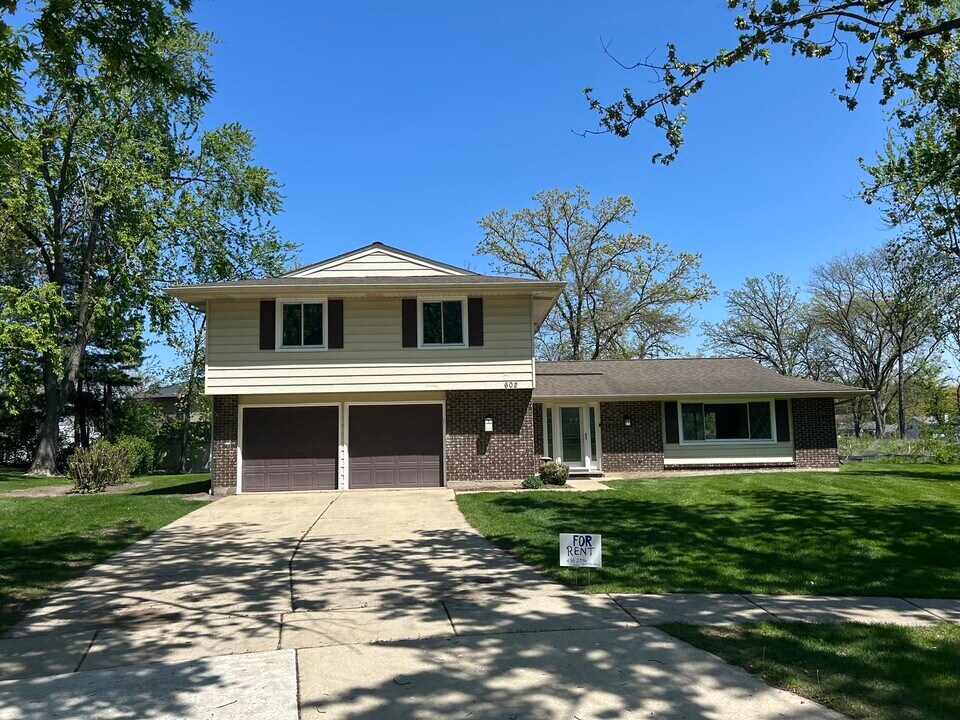 602 Tilipi Ln in Schaumburg, IL - Building Photo