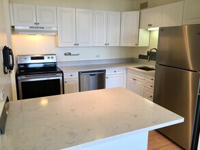 3930 N Pine Grove Ave in Chicago, IL - Building Photo - Building Photo