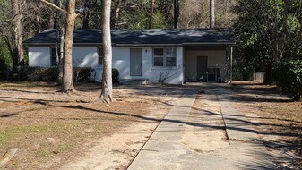 334 Williams St in Albany, GA - Building Photo