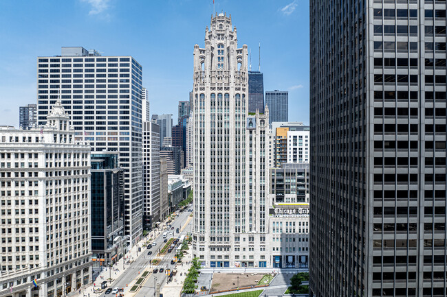 Tribune Tower Residences in Chicago, IL - Building Photo - Building Photo