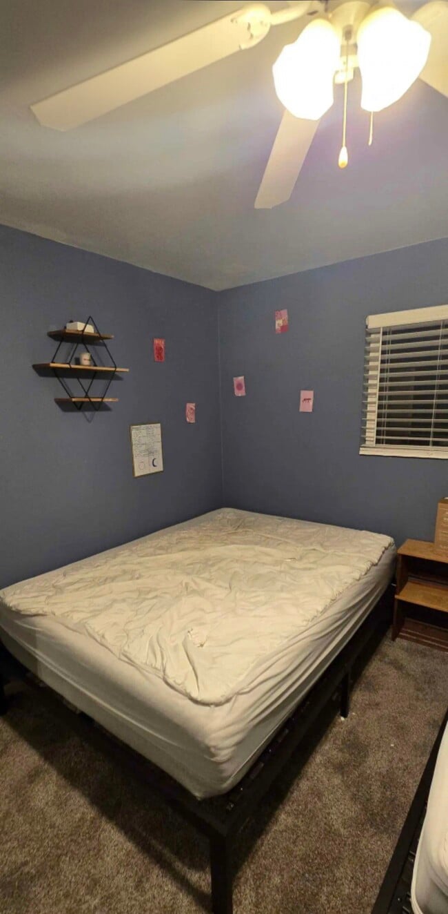 3897 W Layton St in Thatcher, AZ - Foto de edificio - Building Photo