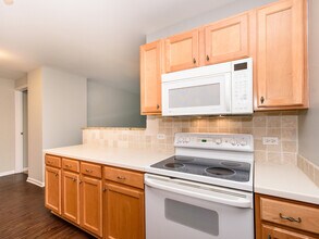 345 N LaSalle St in Chicago, IL - Building Photo - Building Photo