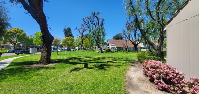 property at 5428 Snowood