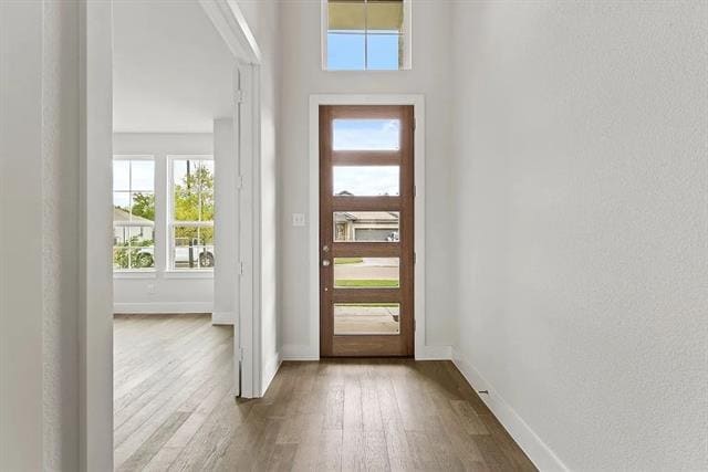 3817 Ablon Trail in Garland, TX - Building Photo - Building Photo