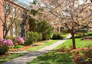 117 Independence Dr, Unit T-039s in Chestnut Hill, MA - Foto de edificio - Building Photo