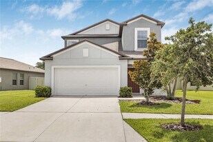 5149 White Chicory Dr in Ruskin, FL - Building Photo