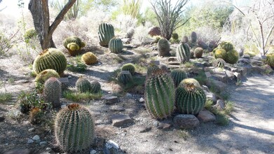 40848 Schafer Pl in Palm Desert, CA - Building Photo - Building Photo