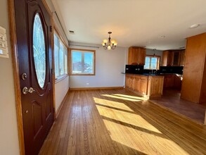 10017 S 52nd Ave in Oak Lawn, IL - Building Photo - Building Photo
