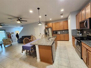 5514 Viola Lee Wy in Lutz, FL - Building Photo - Building Photo