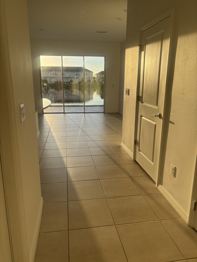 2302 Alee Ln in Wesley Chapel, FL - Building Photo - Building Photo
