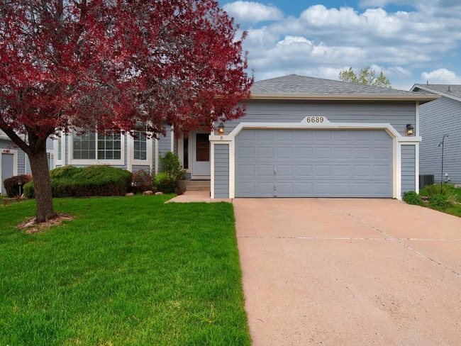property at 6689 Showhorse Ct
