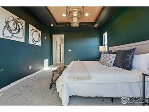 4825 Basalt Ridge Cir in Castle Rock, CO - Building Photo - Building Photo