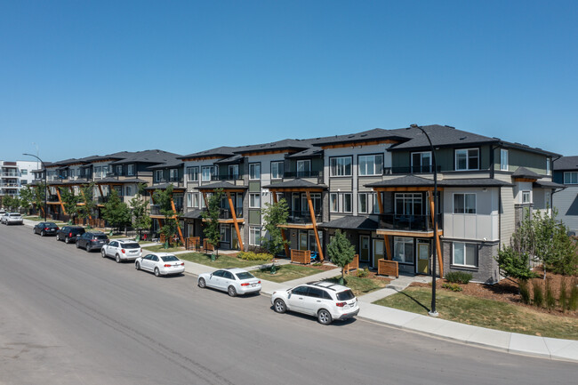 Seton Townhomes in Calgary, AB - Building Photo - Building Photo