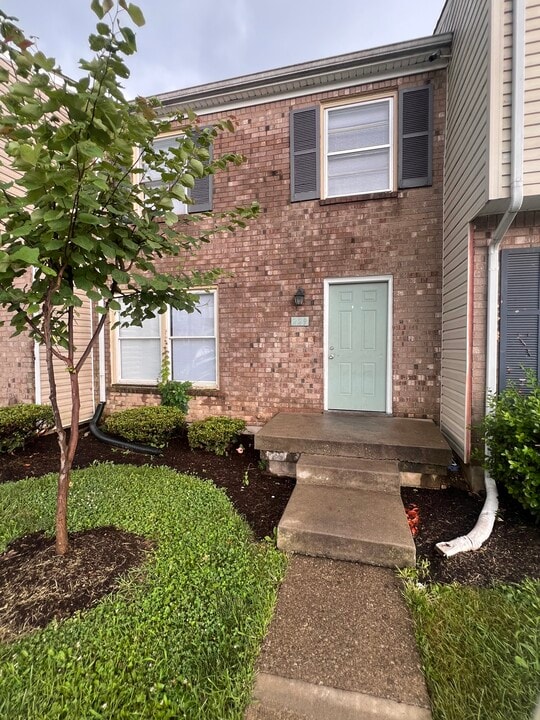 229 Osage Ct in Lexington, KY - Building Photo