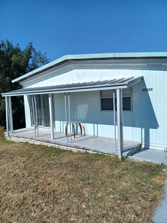 37829 Easy Ave in Zephyrhills, FL - Building Photo