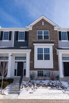 9256 Harlowe Ln in Orland Park, IL - Building Photo