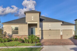 3124 Hilliard Dr in Wesley Chapel, FL - Building Photo