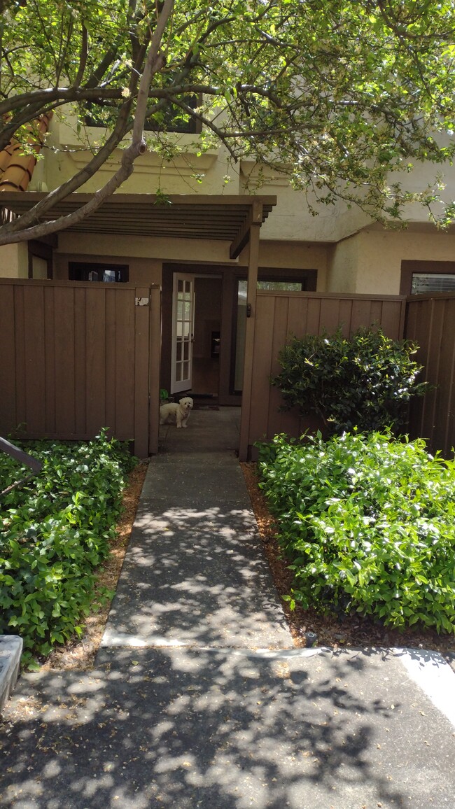 541 Pimlico Ct in Walnut Creek, CA - Building Photo - Building Photo