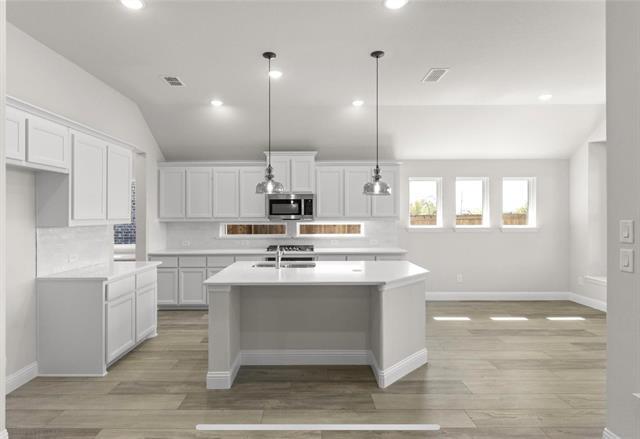 2515 Swallowtail St in Melissa, TX - Building Photo