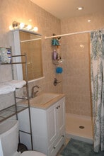 204 Cornell St in Ithaca, NY - Building Photo - Building Photo