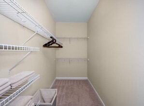 6000 Scarlet Sky Ln in Cary, NC - Building Photo - Building Photo