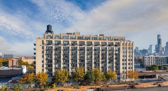 1550 S Blue Island Ave in Chicago, IL - Building Photo - Building Photo