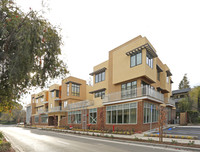 Birch Plaza in Palo Alto, CA - Foto de edificio - Building Photo