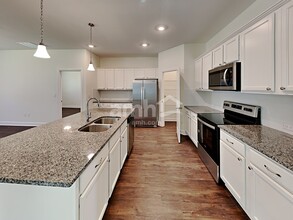 33841 Night Lily Dr in Zephyrhills, FL - Building Photo - Building Photo