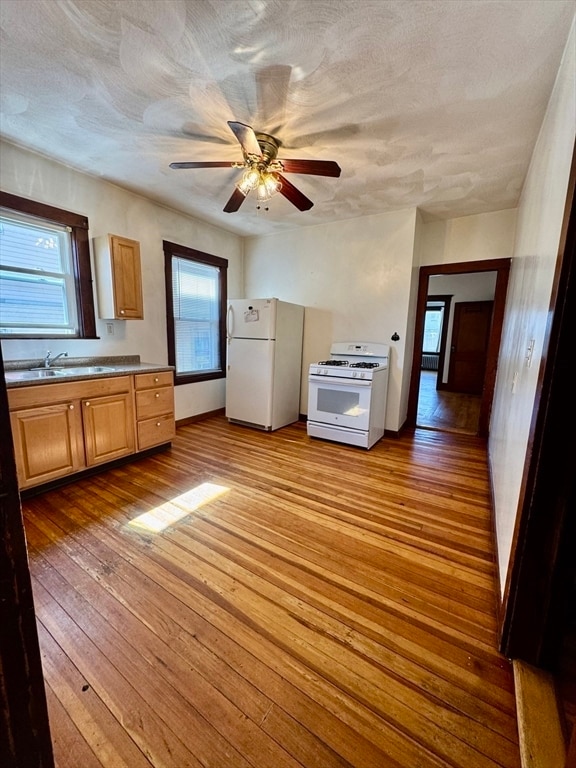 property at 64 Wellington Rd