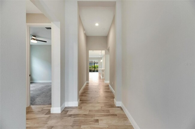 5607 Limelight Dr in Apollo Beach, FL - Building Photo - Building Photo