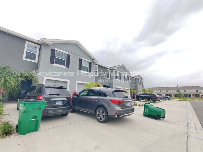 32988 Major Oak Dr in Wesley Chapel, FL - Building Photo - Building Photo