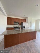 115 Stribling Wy in Winchester, VA - Building Photo