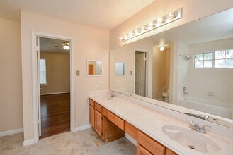 17023 Blue Mist Cir in Sugar Land, TX - Building Photo - Building Photo