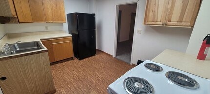 517 Wood Ave SE in Bemidji, MN - Building Photo - Building Photo