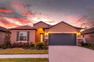 13877 Carlow Pk Dr in Riverview, FL - Building Photo