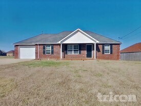 9021 Macbeth Dr in Smyrna, TN - Building Photo