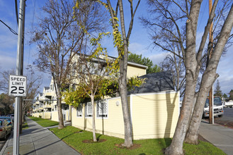 Paula Apartments in San Jose, CA - Building Photo - Building Photo