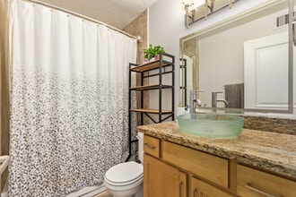 1225 E Medlock Dr, Unit 102 in Phoenix, AZ - Building Photo - Building Photo