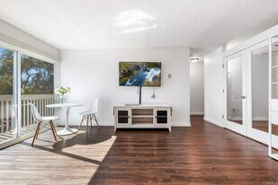 403 Requeza St in Encinitas, CA - Building Photo