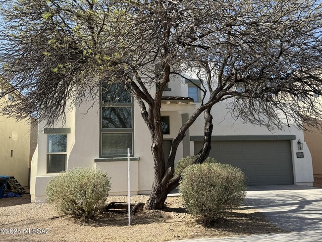 144 E Calle Del Rondador in Sahuarita, AZ - Building Photo - Building Photo
