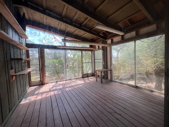 204 Harmons Way in San Marcos, TX - Building Photo - Building Photo