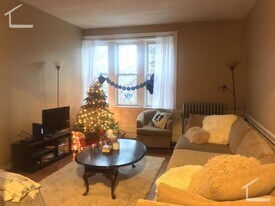 313 St Paul St in Brookline, MA - Building Photo